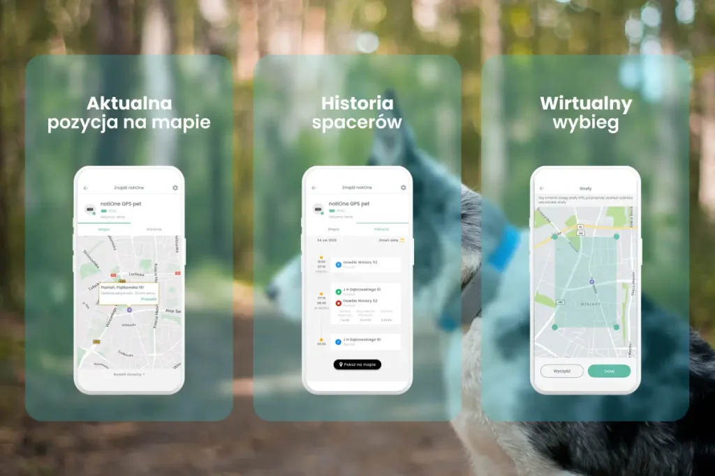 NotiOne GPS pet